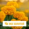 Эко золотой для плодовитости рыб