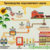 Масло подсолнечное рафинированное вымороженное